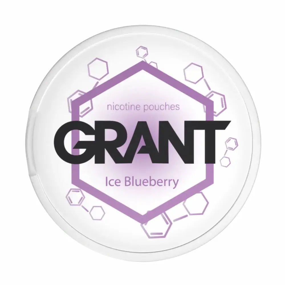 GARANT Ice Blueberry 10mg nicotine pouches cool blueberry flavour UK