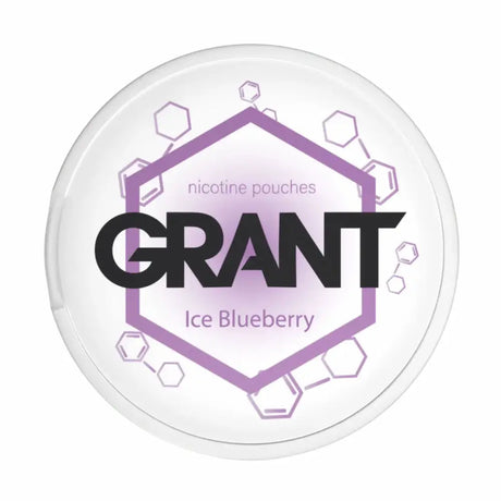 GARANT Ice Blueberry 10mg nicotine pouches cool blueberry flavour UK