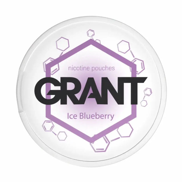 GARANT Ice Blueberry 10mg nicotine pouches cool blueberry flavour UK